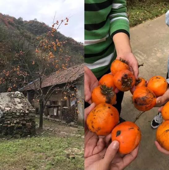 秦嶺團建，為云和聚力 ——云和數(shù)據(jù)西安中心